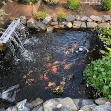 Beautiful Brooklyn Koi-Fish Pond-Garden Residence New York Extérieur photo